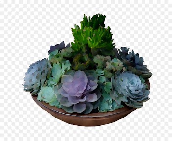 Flower Greens Purple Herb -  