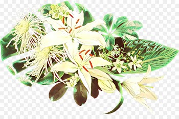 Flower, Herb, Plant PNG