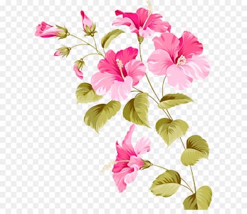 Flower Hibiscus Euclidean vector Plant - flowers 