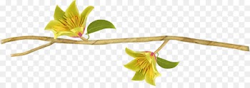 Flower Icon - Decorative edge flower 