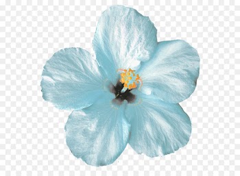 Flower Icon - Mint Flower 