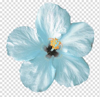 Flower Icon, Mint Flower transparent background PNG clipart