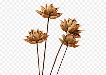 Flower If(we) Download - Dry flower deduction material 