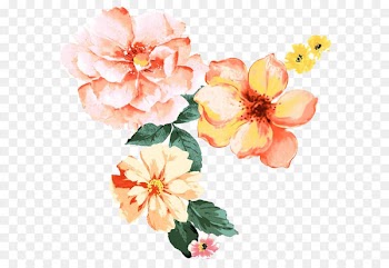 Flower Illustration - Beautiful watercolor flower pattern 