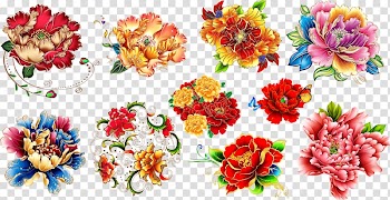 Flower illustration, Moutan peony Flower , Peony flower material transparent background PNG clipart