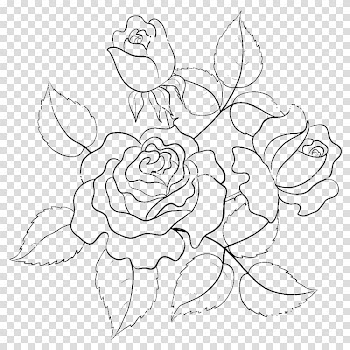 Flower illustration, Rose Flower Drawing Illustration, Hand-painted roses line drawing transparent background PNG clipart