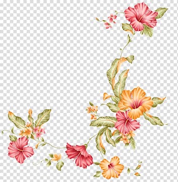 Flower illustration , Watercolor flower transparent background PNG clipart