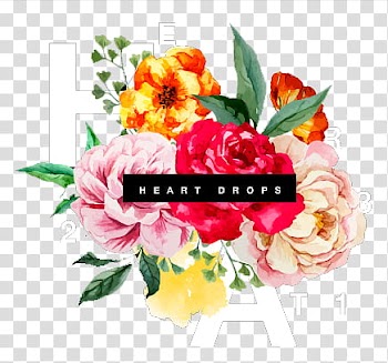 , flower illustration with heart drops text transparent background PNG clipart