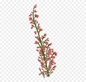 Flower Illustrations 17, Buy Clip Art - Garden Roses