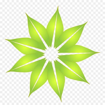Flower Image Color Portable Network Graphics Green - daylight 