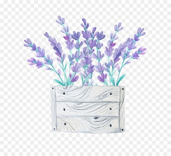 Flower Image Stock illustration Floral design - alfazema ornament 
