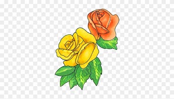 Flower Images Red Flower - Red And Yellow Roses Clipart