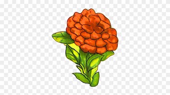 Flower Images Red Flower - Red Orange Flower Drawing