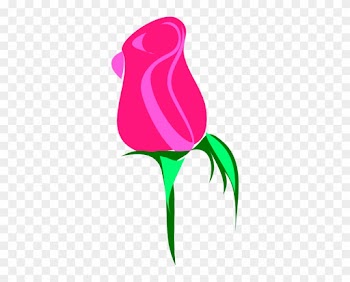 Flower Images Small Size