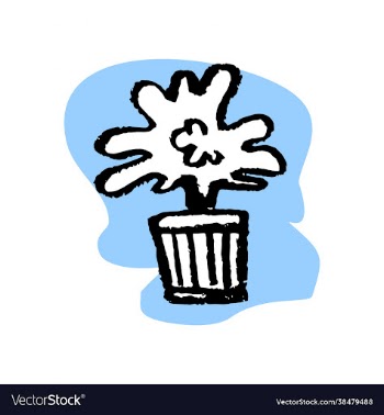 flower in a pot for home - isolate on a white