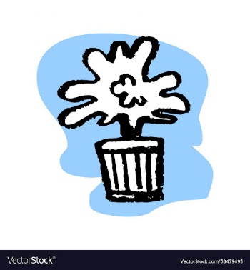 flower in a pot for home - isolate on a white