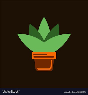 Flower in a pot icon house pot plant vector image