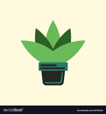 Flower in a pot icon house pot plant vector image