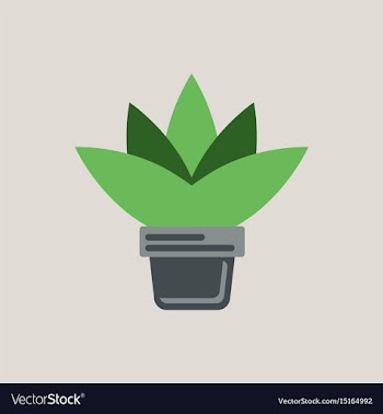 Flower in a pot icon house pot plant vector image