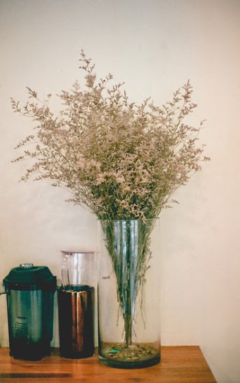 Flower In A Vase