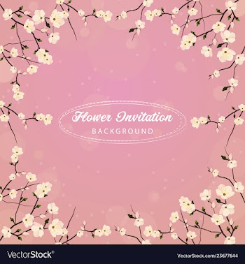 Flower invitation background vector image