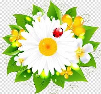 Flower , ladybug transparent background PNG clipart