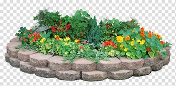 Flower Landscape design , parterre transparent background PNG clipart