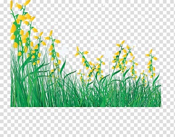 Flower Lawn , Cartoon spring flowers fresh grass transparent background PNG clipart