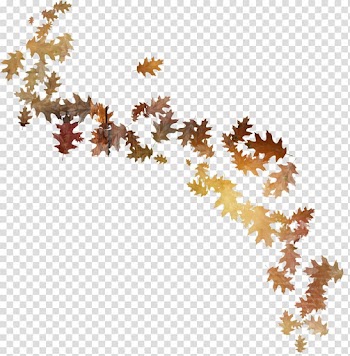 Flower Leaf , autumn leaves transparent background PNG clipart