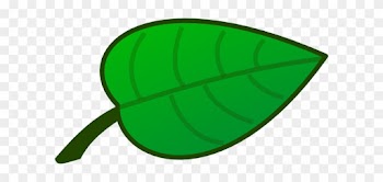 Flower Leaf Clip Art - Cartoon Pictures Of Leaf