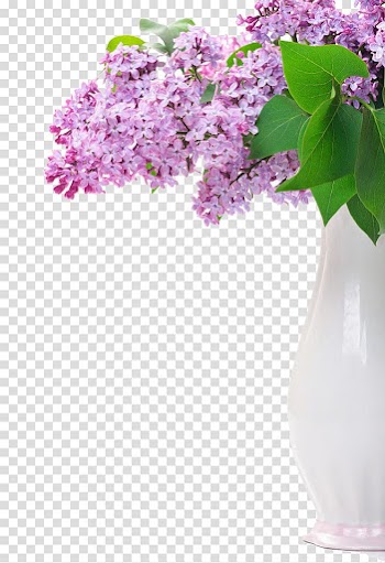 Flower Lilac Purple , lilac transparent background PNG clipart