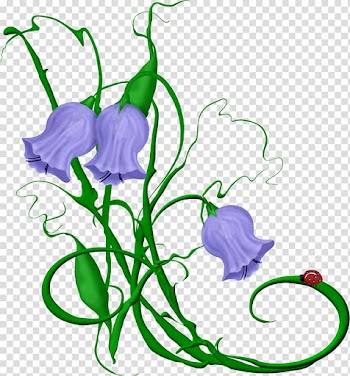 Flower , lilac transparent background PNG clipart