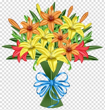 Flower Lilium Floral design Petal, Color lily transparent background PNG clipart