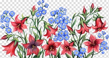 Flower Lilium Garden roses, Hand-painted lily flower transparent background PNG clipart