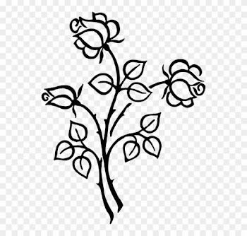 Flower Line Art 5, - Roses Line Art