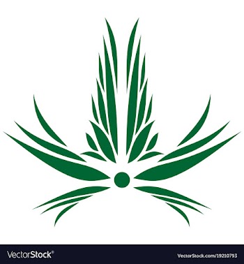 Flower logo template vector image