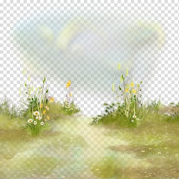 Flower Meadow Grass Herbaceous plant , flower transparent background PNG clipart