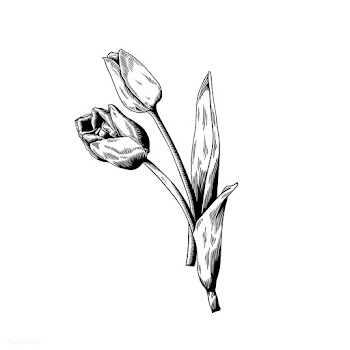 Flower nature artworks | Free stock vector - 2091