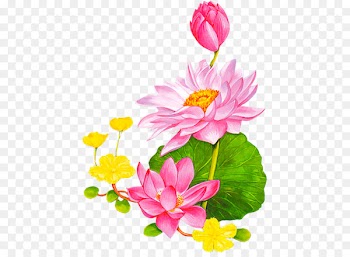 Flower Nelumbo nucifera Animation Lotus 43 Clip art - Lotus lotus leaf cartoon pattern background decoration 