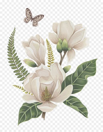 Flower Nosegay Illustration - Flowers and vegetation 