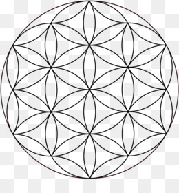 Flower Of Life Png (95+ images in Collection) Page 1