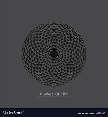 Flower of life vector image