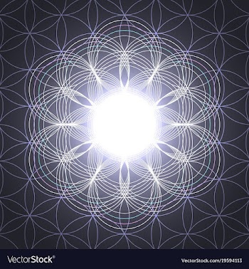 Flower of life vector image