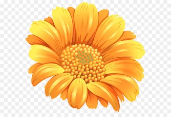 Flower Orange Clip art - Orange Flower PNG Clipart Image 