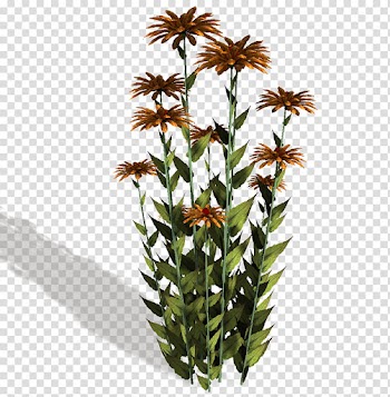 Flower, orange petaled flower illustration transparent background PNG clipart