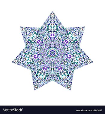 Flower ornament star symbol template vector image