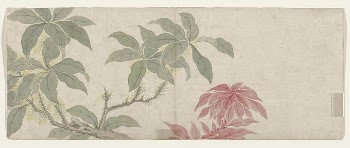 Flower Painting during late 18th | Free Photo - rawpixel