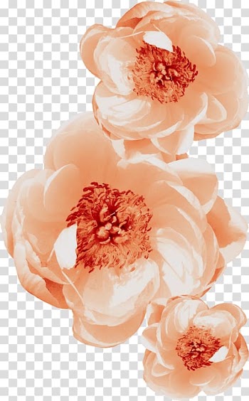 Flower Painting, flower transparent background PNG clipart