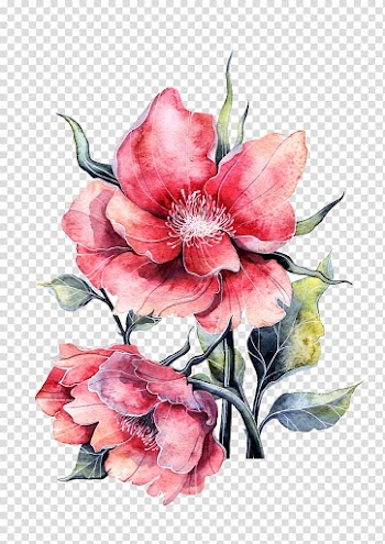 Flower Paper painting Rose, Watercolor peony in full bloom, two pink petaled flowers illustration transparent background PNG clipart