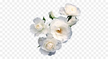 Flower Paper Rose Floristry Polyvore - White Pear 
